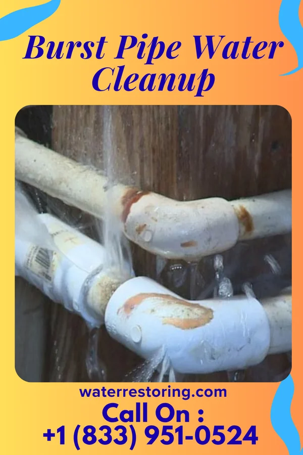 Burst Pipe Water Cleanup in Maysville, GA