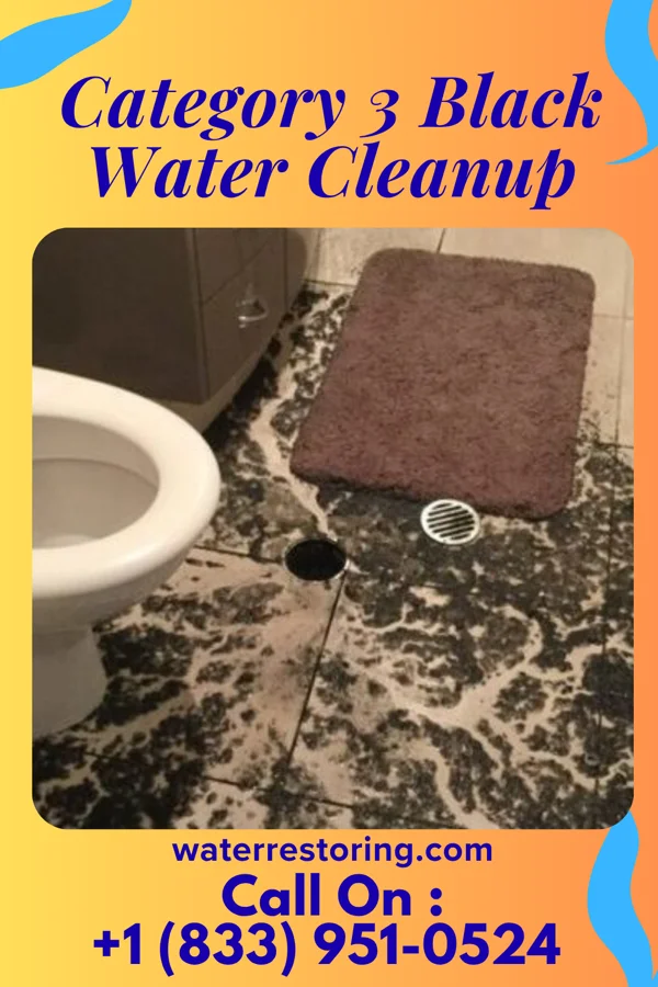 Category 3 Black Water Cleanup in Maysville, GA