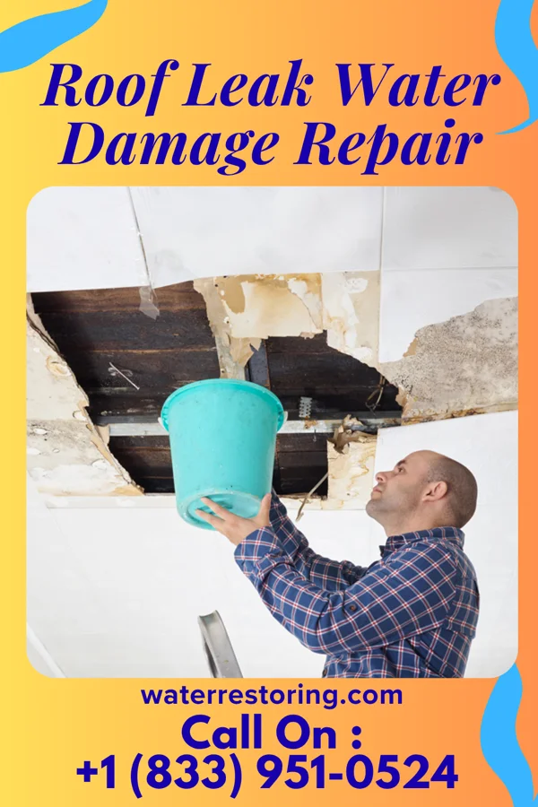 Roof Leak Water Damage Repair in Maysville, GA