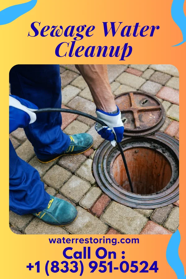 Sewage Water Cleanup in Maysville, GA